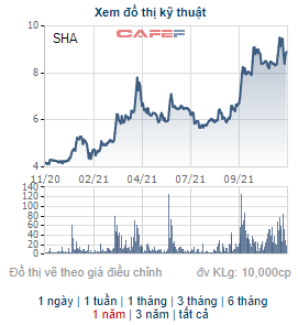 Sơn Hà Sài Gòn (SHA) phát hành 1,6 triệu cổ phiếu trả cổ tức năm 2020 - Ảnh 1.