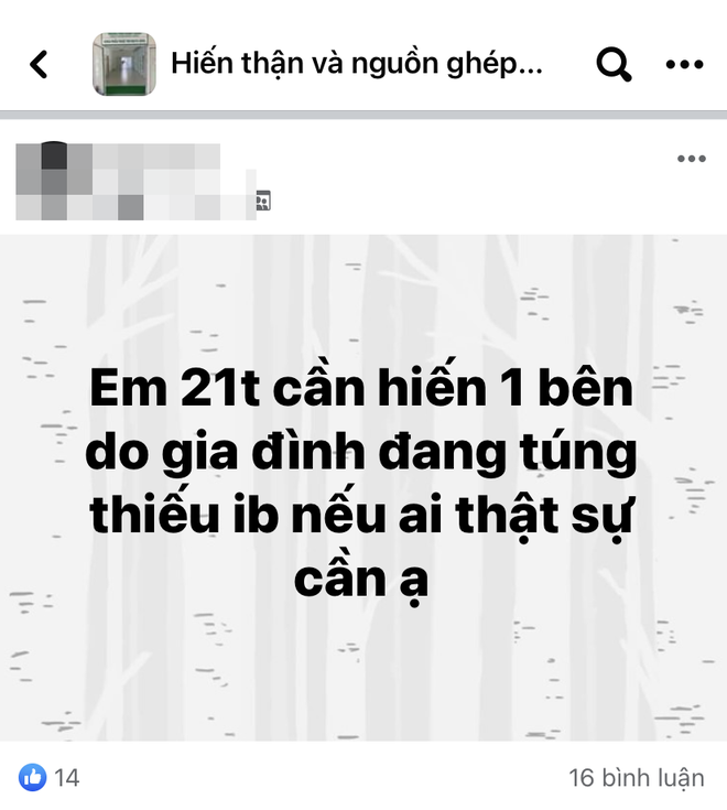 Phóng sự đặc biệt đường dây mua bán nội tạng - kỳ 1: Đằng sau những group hiến tạng nhân đạo và đoạn chat mồi người bán gây sốc - Ảnh 6.