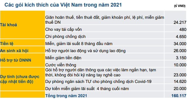 Giải pháp hỗ trợ doanh nghiệp: Kích thích phục hồi kinh tế cần bao nhiêu tiền? - Ảnh 1.