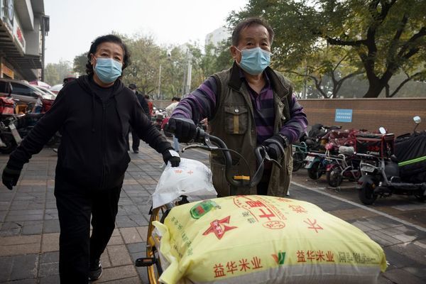 Bắp cải ‘cháy hàng’, giá tăng gấp 3 lần vẫn đắt khách ở Trung Quốc - Ảnh 2.