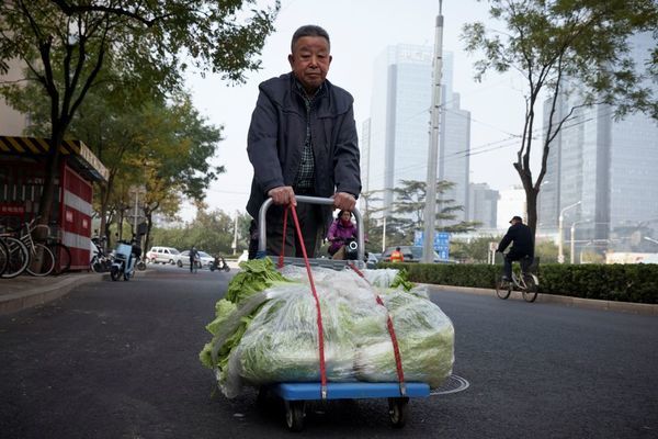 Bắp cải ‘cháy hàng’, giá tăng gấp 3 lần vẫn đắt khách ở Trung Quốc - Ảnh 5.