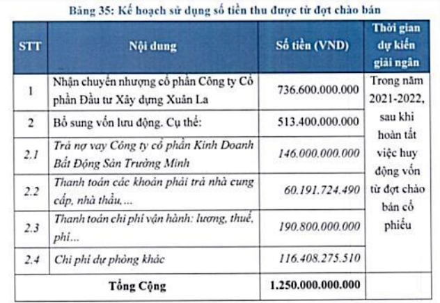 Thị giá 135.000 đồng/cp, Sunshine Homes chào bán 125 triệu cổ phiếu giá 10.000 đồng - Ảnh 1.