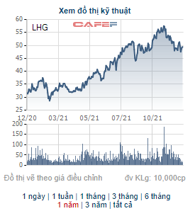 Một cổ đông vừa chi thêm 51 tỷ đồng mua 1,1 triệu cổ phiếu LHG, trở thành cổ đông lớn của Long Hậu - Ảnh 1.