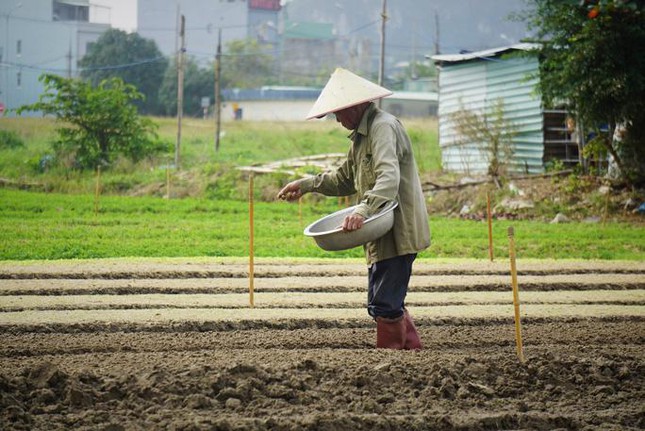 2 khu đất liên quan vụ giám đốc doanh nghiệp uống thuốc tự tử tại tòa giờ ra sao? - Ảnh 9.