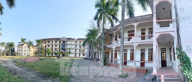  Trường trung cấp tiền chục tỷ bỏ hoang, thành nơi chăn thả bò  - Ảnh 2.