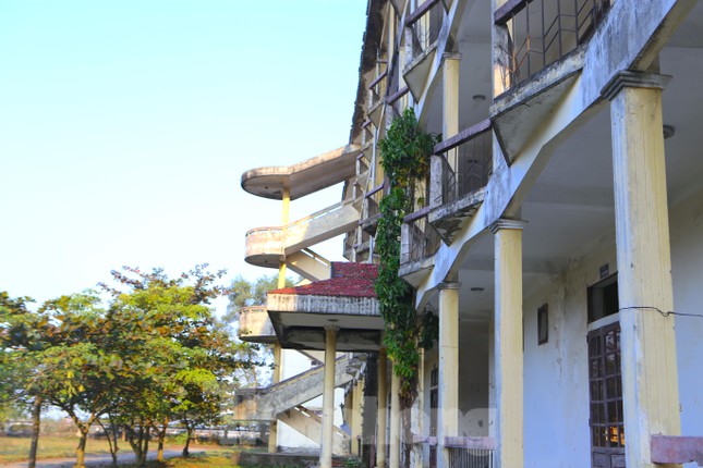  Trường trung cấp tiền chục tỷ bỏ hoang, thành nơi chăn thả bò  - Ảnh 3.