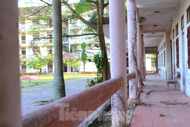  Trường trung cấp tiền chục tỷ bỏ hoang, thành nơi chăn thả bò  - Ảnh 5.