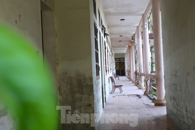  Trường trung cấp tiền chục tỷ bỏ hoang, thành nơi chăn thả bò  - Ảnh 9.