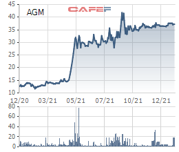 Liên tục mua vào, Louis Holdings sắp thâu tóm Angimex (AGM) với tỷ lệ sở hữu 51% vốn - Ảnh 1.