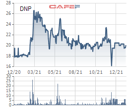 Nhựa Đồng Nai (DNP): 2 cổ đông lớn bán gần hết vốn với hơn 14 triệu cổ phần - Ảnh 1.