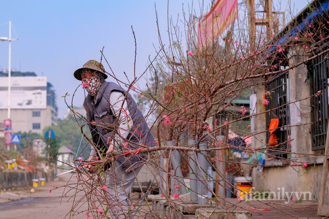 Hơn tháng nữa là Tết: Đào Nhật Tân vừa xuống phố đã bị khách mở hàng ép giá, tiểu thương thà ế chứ nhất quyết không bán rẻ - Ảnh 9.