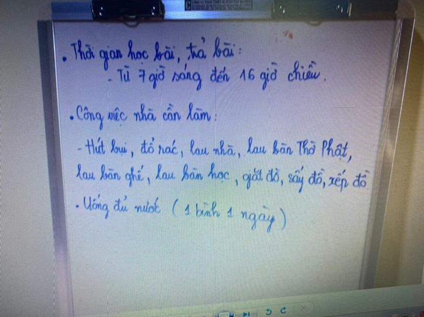  Bà giúp việc từng bị dì ghẻ đuổi việc bàng hoàng: “Từ khi nghe tin cháu bị “bạo hành”, tôi bần thần mất ăn, mất ngủ” - Ảnh 3.