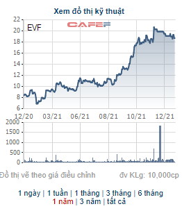 Gần 305 triệu cổ phiếu EVF sẽ hủy đăng ký giao dịch trên Upcom từ 30/12 tới đây - Ảnh 2.