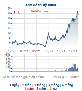Chủ tịch HĐQT của Petroland đăng ký mua 10 triệu cổ phiếu PTL - Ảnh 1.