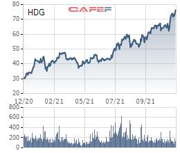 Tập đoàn Hà Đô (HDG) sắp phát hành gần 33 triệu cổ phiếu trả cổ tức năm 2020 - Ảnh 1.