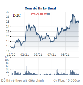 Bóng đèn Điện Quang (DQC): Giá tăng gần 60% kể từ đầu năm, anh trai Chủ tịch HĐQT bán xong 1,22 triệu cổ phiếu - Ảnh 1.