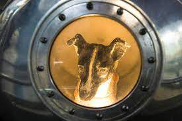 Laika – chú chó đầu tiên bay vào vũ trụ: Cái kết “đã định trước” và hành trình lịch sử dài 103 phút khiến thế giới quặn đau mỗi khi nhớ lại - Ảnh 3.