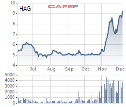Hoàng Anh Gia Lai (HAG): Cổ phiếu vượt mệnh sau gần 5 năm, tài sản bầu Đức tăng thêm 1.600 tỷ đồng - Ảnh 1.
