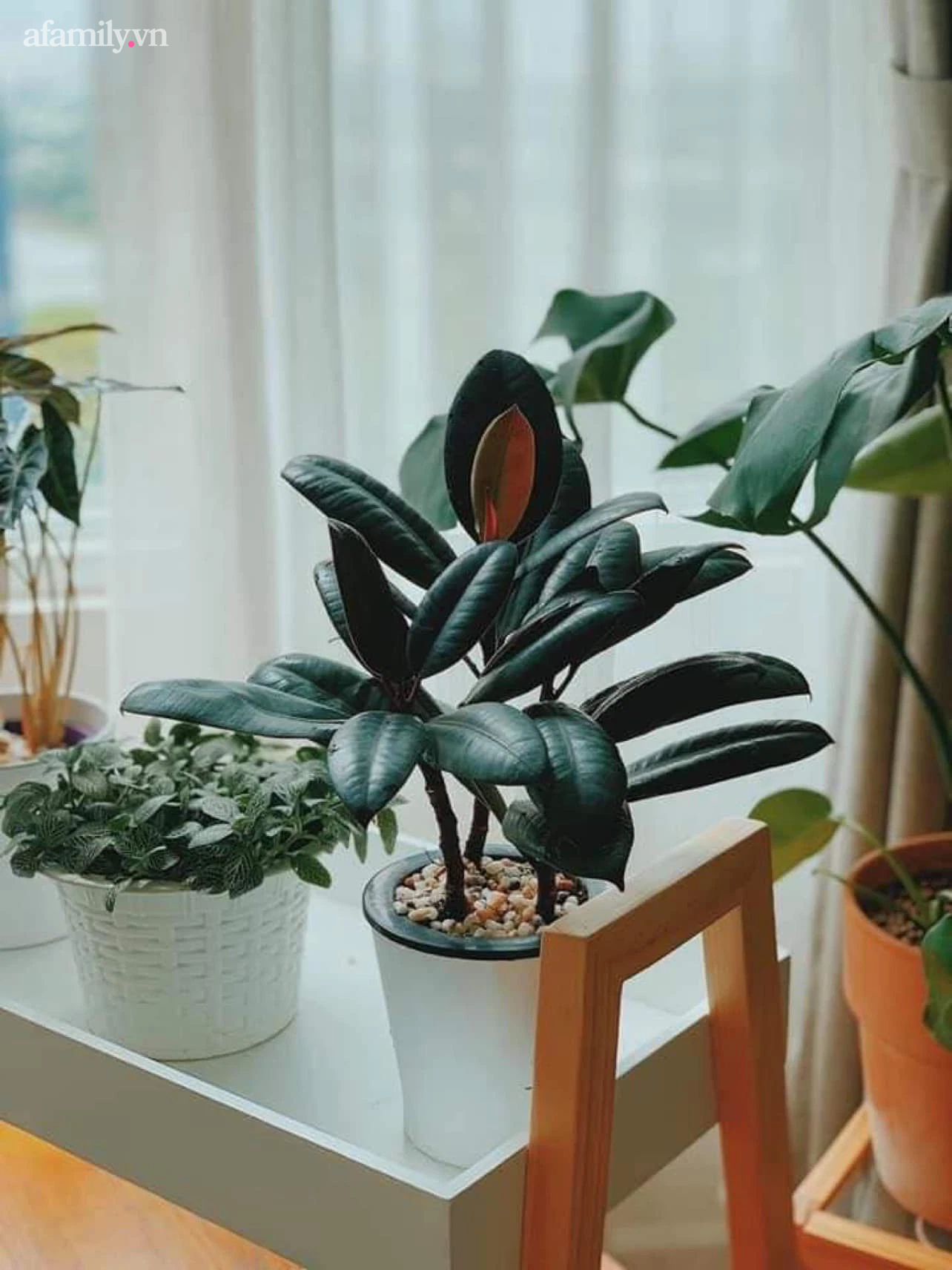 Vào Sài Gòn lập nghiệp với thu nhập chỉ 3,5 triệu/tháng, sau 8 năm cô gái 8x mua được nhà 2 tỷ - Ảnh 8.