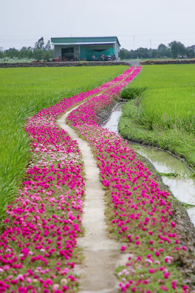 Mẩu chuyện nhỏ ngày đầu năm nhất định sẽ khiến bạn cảm thấy ấm áp: Mỗi ngày gieo một hạt mầm nhỏ, cuộc sống nhất định sẽ cho bạn cả một vườn hoa - Ảnh 2. Mẩu chuyện nhỏ ngày đầu năm nhất định sẽ khiến bạn cảm thấy ấm áp: Mỗi ngày gieo một hạt mầm nhỏ, cuộc sống nhất định sẽ cho bạn cả một vườn hoa - Ảnh 2.