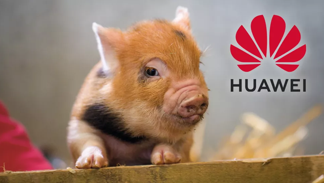 Smartphone bết bát, Huawei chuyển hướng… nuôi lợn bằng AI - Ảnh 1.