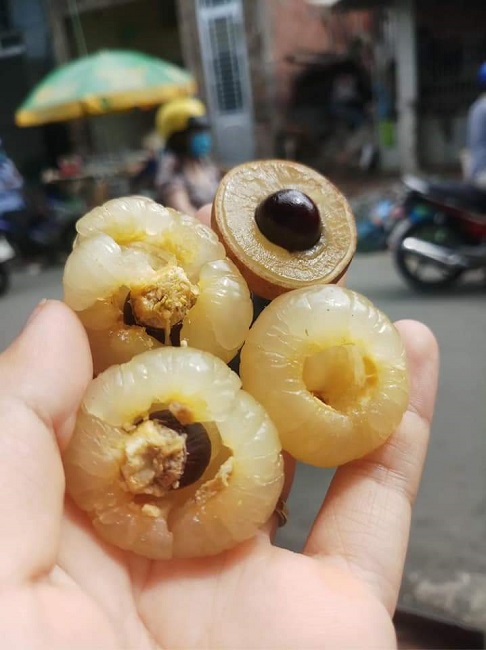 Có thể bạn chưa biết: Việt Nam có loại nhãn lạ, cùi cuộn như bắp cải, giá cao gấp 5 lần nhãn thường vẫn được săn lùng - Ảnh 6.