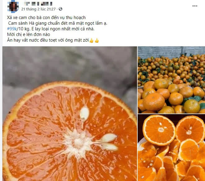 Hé lộ sự thật về cam sành Hà Giang 6k tràn lan khắp phố - Ảnh 3.