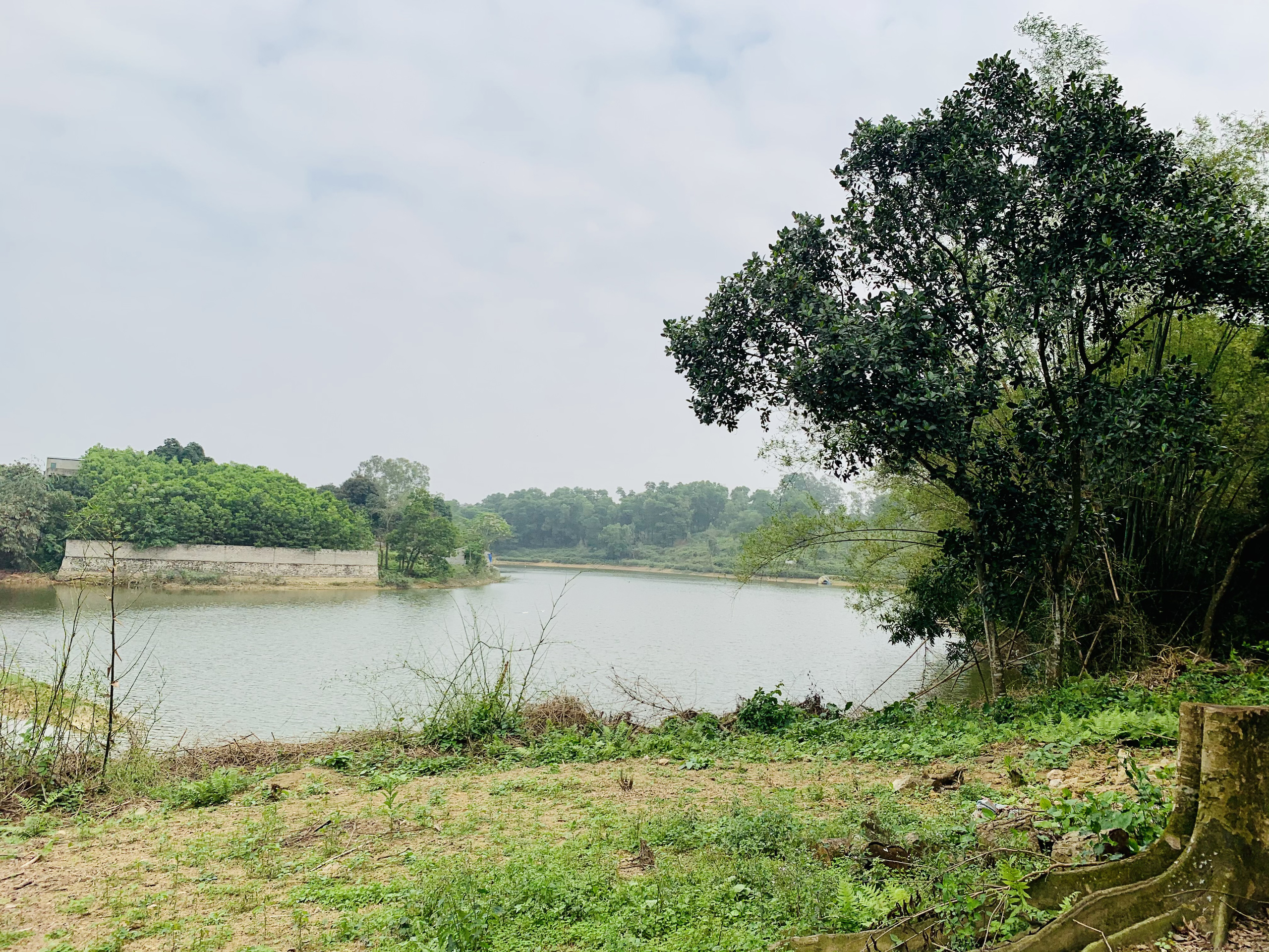 Ngỡ ngàng đất Ba Vì, Chương Mỹ, Hòa Bình nhiều khu vực tăng đến 3 lần chỉ trong 1 năm - Ảnh 2.