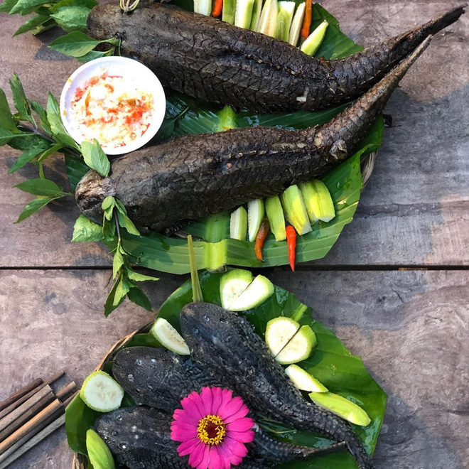 Việt Nam có 5 loại cá được xem là đặc sản nức tiếng, nhìn thì “sợ bỏ chạy” nhưng ăn rồi mới thấy cực ngon! - Ảnh 6.
