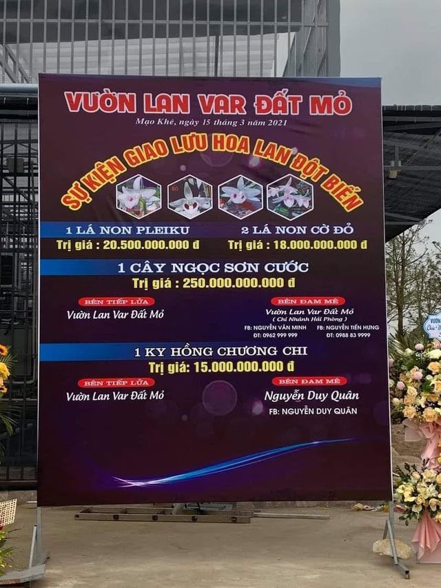 Công an vào cuộc vụ bán lan đột biến 250 tỷ đồng ở Quảng Ninh - Ảnh 3.