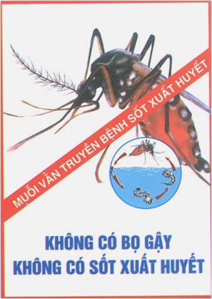 2 trường hợp tử vong do sốt xuất huyết, bất kì ai cũng cần biết những điều nên và không nên làm khi bị sốt xuất huyết - Ảnh 15.