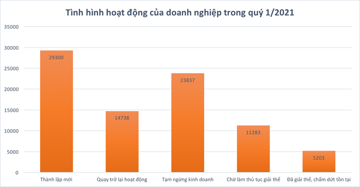 Đón sóng đất, doanh nghiệp bất động sản thành lập mới tăng đột biến - Ảnh 1.