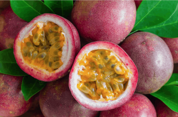 3 loại quả ở Việt Nam mọc dại đầy đường, sang nước ngoài thành của ngon vật lạ bán trong siêu thị gần 1 triệu đồng/kg - Ảnh 5.