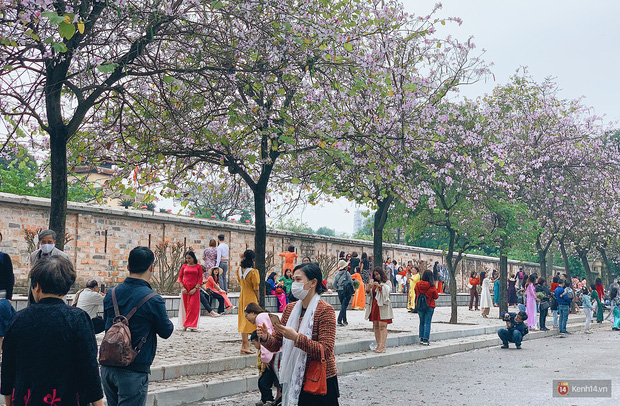 Hà Nội chiều Chủ nhật, dân tình rộn ràng chụp ảnh đông nghịt trên con đường hoa ban tím - Ảnh 6.