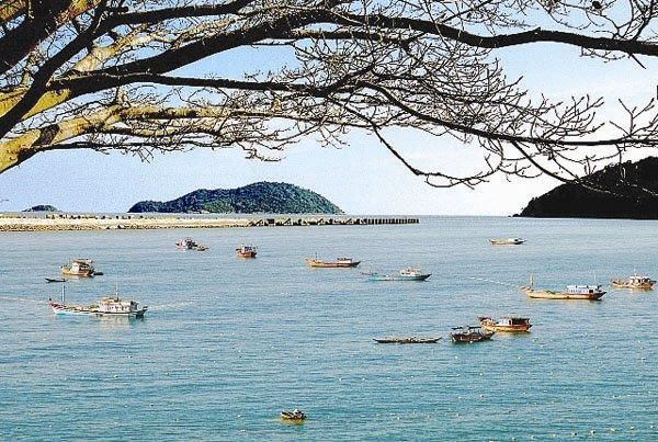 Chúa đảo Tuần Châu Đào Hồng Tuyển muốn xây sân bay, thành phố hải sản rộng 500ha ở Cà Mau - Ảnh 1.
