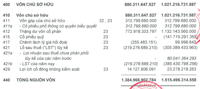 Lỗ luỹ kế hơn 219 tỷ đồng, Yeah1 (YEG) tiếp tục trình kế hoạch dùng thặng dư vốn xoá lỗ - Ảnh 3.