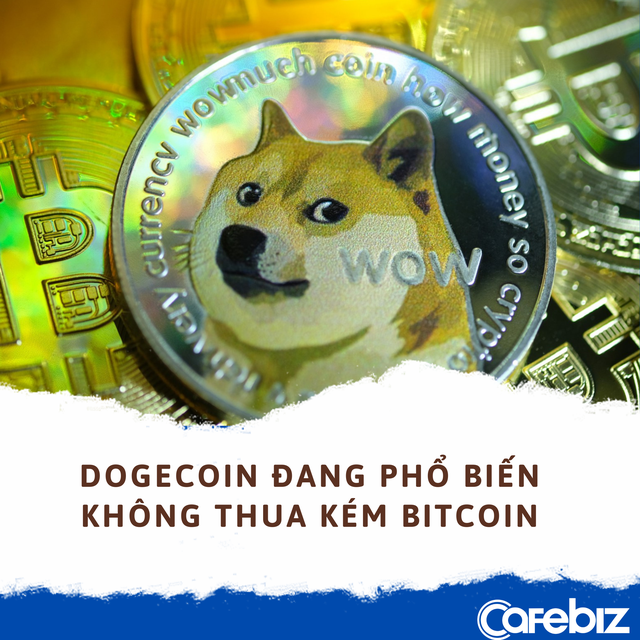 Làm giàu không khó: Mua 1.000 USD Dogecoin đầu năm, nhận 68.500 USD hiện tại - Ảnh 1.