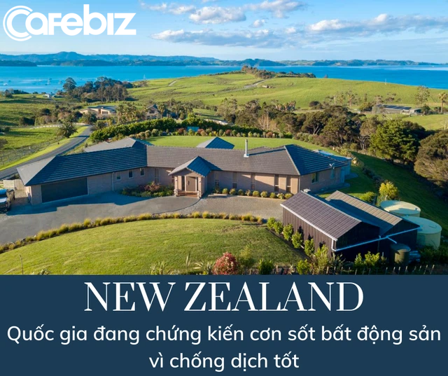 Sốt đất không tưởng ở New Zealand: Mất 10 tháng, gặp 100 người, xem 60 ngôi nhà mới chốt được hợp đồng mua bán - Ảnh 1.