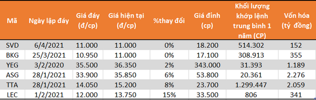 Những cổ phiếu hiếm hoi vẫn ở đáy dù VN-Index liên tục lập đỉnh - Ảnh 1.