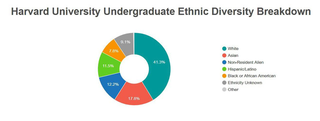 Những bí ẩn chưa được tiết lộ đằng sau cánh cổng Đại học Harvard - Ảnh 2.