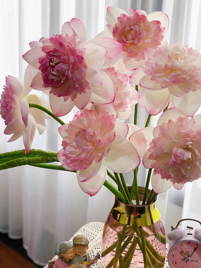 Hoa sen ngàn cánh với vẻ đẹp quyến rũ và thướt tha luôn là nguồn cảm hứng cho nghệ thuật và thơ ca Việt Nam. Bức ảnh này sẽ đưa bạn đến với thế giới của hoa sen ngàn cánh và cho chúng ta cảm giác thăng hoa và yên bình như đang lang thang trên một đầm sen thơ mộng!