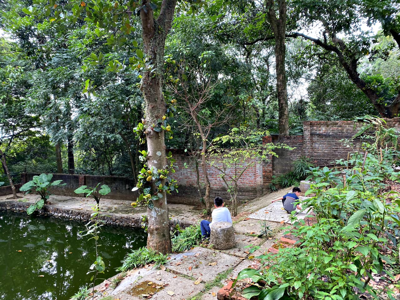 Mê mẩn với căn nhà second-home đẹp đến phát thèm tại ngoại ô Hà Nội, lộ bí quyết nhà đẹp quanh năm chỉ với 0 đồng của chủ nhà - Ảnh 15.