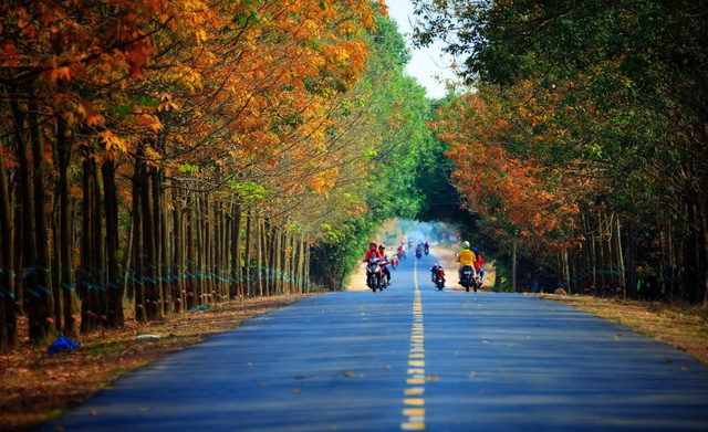 7 cung đường bộ đẹp nhất Việt Nam xuất hiện trên Tạp chí du lịch danh tiếng thế giới: Ngắm cảnh còn ngỡ lạc vào động tiên - Ảnh 7.