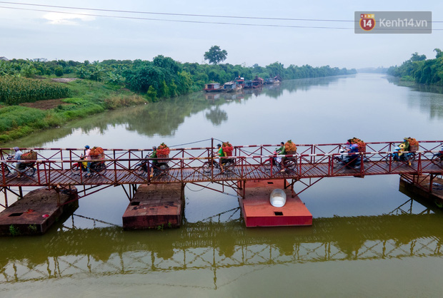 Bắc Giang: Kiếm tiền triệu từ việc đẩy xe chở vải lên dốc cầu phao trong mùa thu hoạch - Ảnh 12.