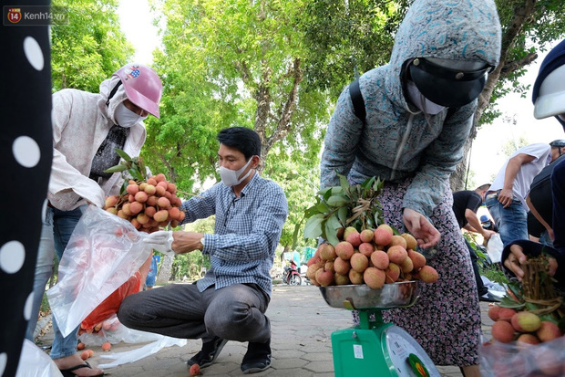 Bác sĩ bị vợ cách ly vì về Bắc Giang gom hàng trăm tấn vải mang xuống Hà Nội bán giúp bà con - Ảnh 3.