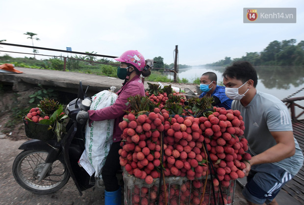 Bắc Giang: Kiếm tiền triệu từ việc đẩy xe chở vải lên dốc cầu phao trong mùa thu hoạch - Ảnh 5.