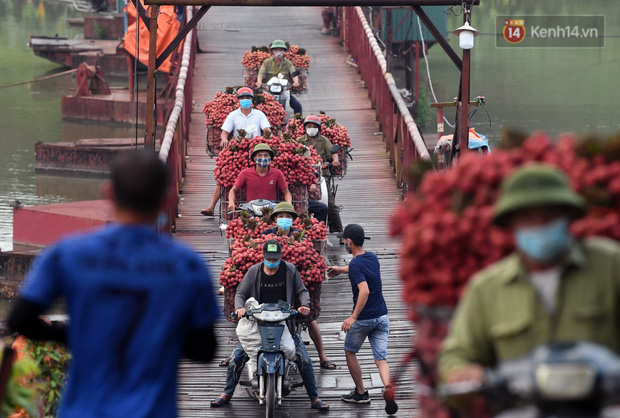 Bắc Giang: Kiếm tiền triệu từ việc đẩy xe chở vải lên dốc cầu phao trong mùa thu hoạch - Ảnh 7.
