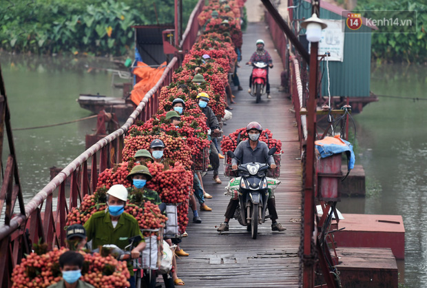 Bắc Giang: Kiếm tiền triệu từ việc đẩy xe chở vải lên dốc cầu phao trong mùa thu hoạch - Ảnh 8.