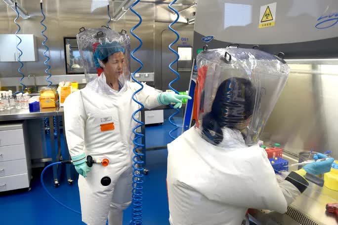 Nguồn gốc Covid-19: Thêm chi tiết mâu thuẫn về Viện Virus học Vũ Hán - Ảnh 2. Nguồn gốc Covid-19: Thêm chi tiết mâu thuẫn về Viện Virus học Vũ Hán - Ảnh 2.