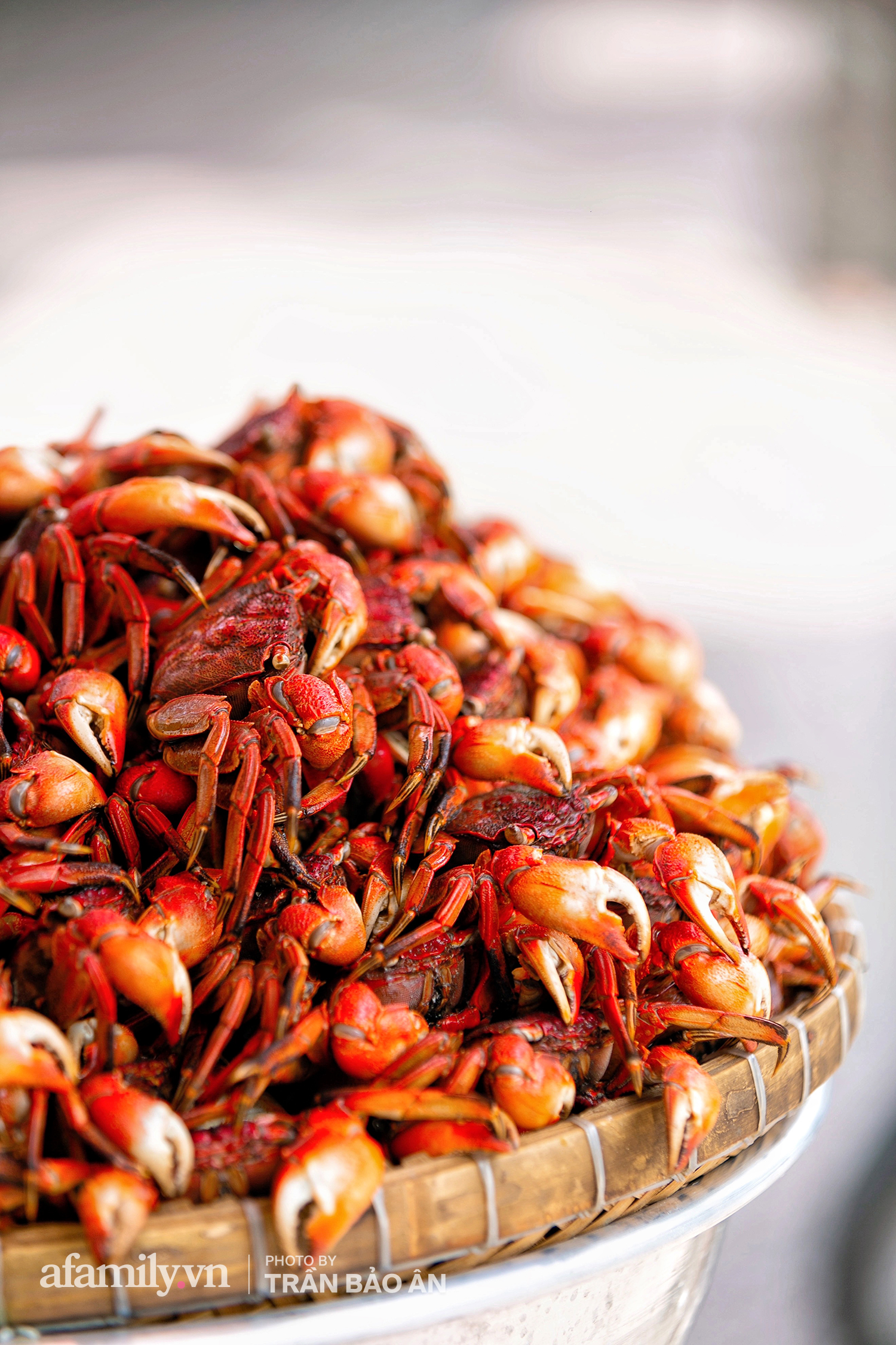  Mâm ba khía Cà Mau hấp giúp bà chủ mỗi tháng kiếm nhẹ nhàng 400 triệu dù trong mùa dịch, cả Sài Gòn tìm đỏ con mắt cũng khó có mâm thứ hai  - Ảnh 4.